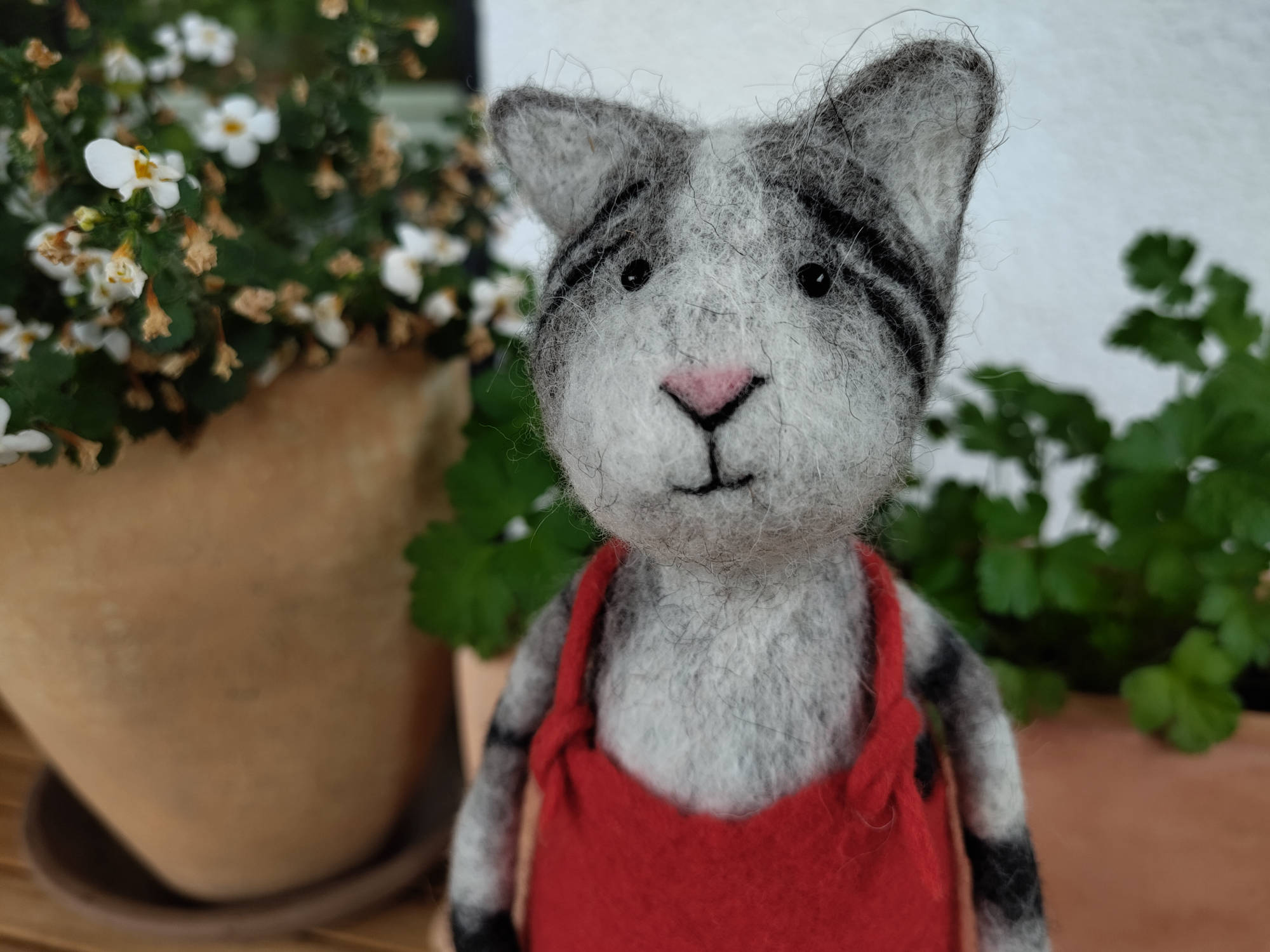 Grau-getigerte Filzkatze mit roter Latzhose