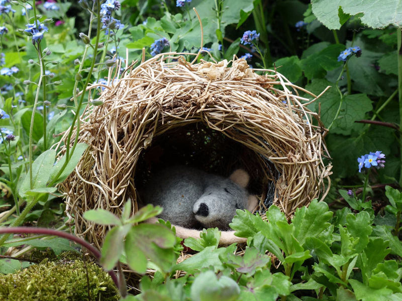 Gefilzte graue Maus in ihrem Nest