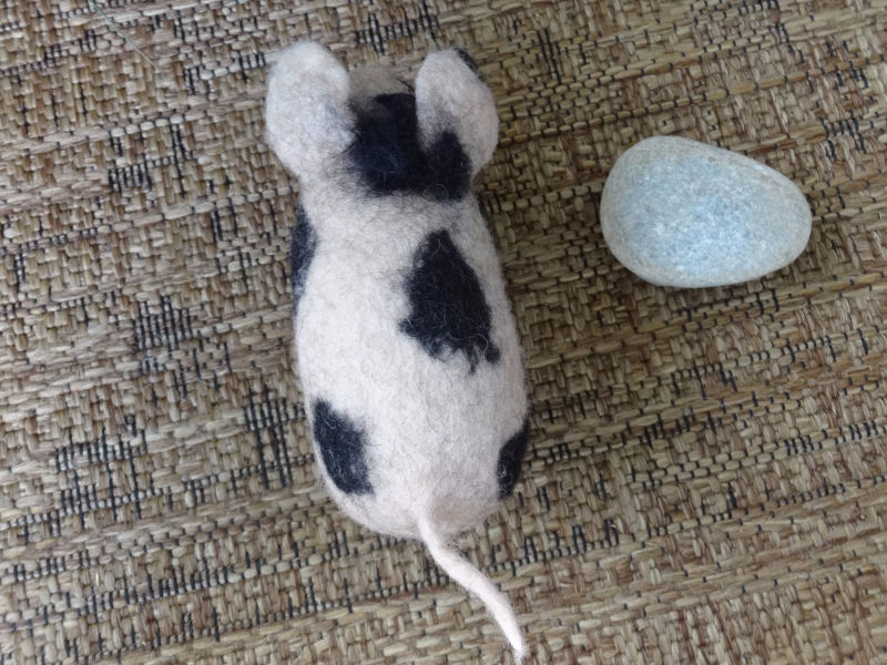 Gefilztes Bentheimer Schweinchen von oben