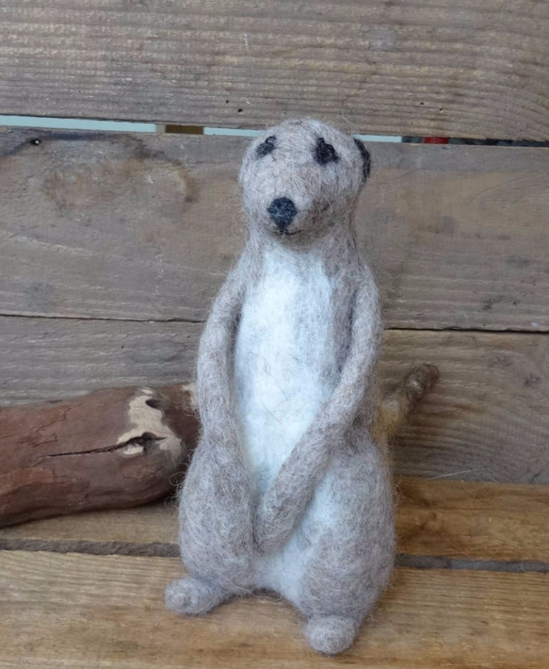 Gefilztes Erdmännchen von der Seite